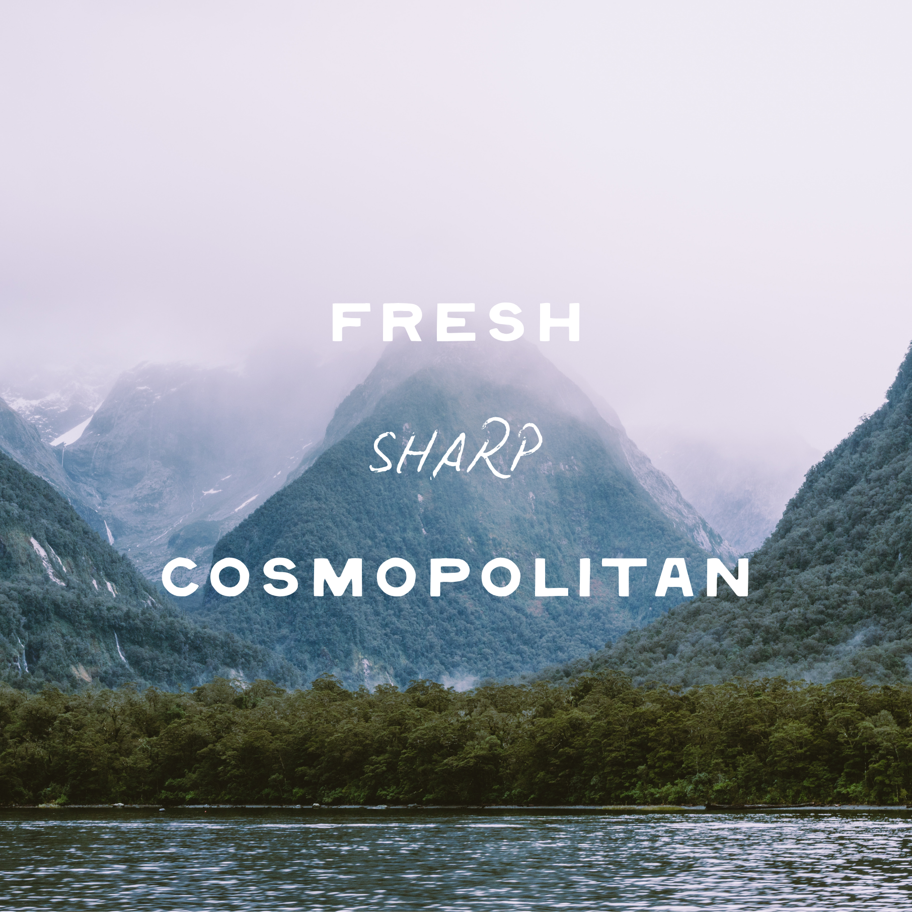 Jetsetter