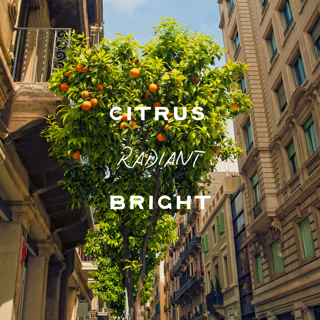 Optimist