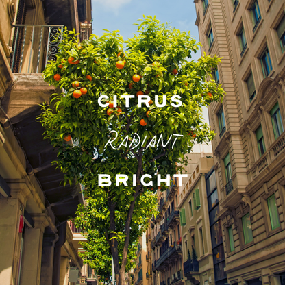 Optimist