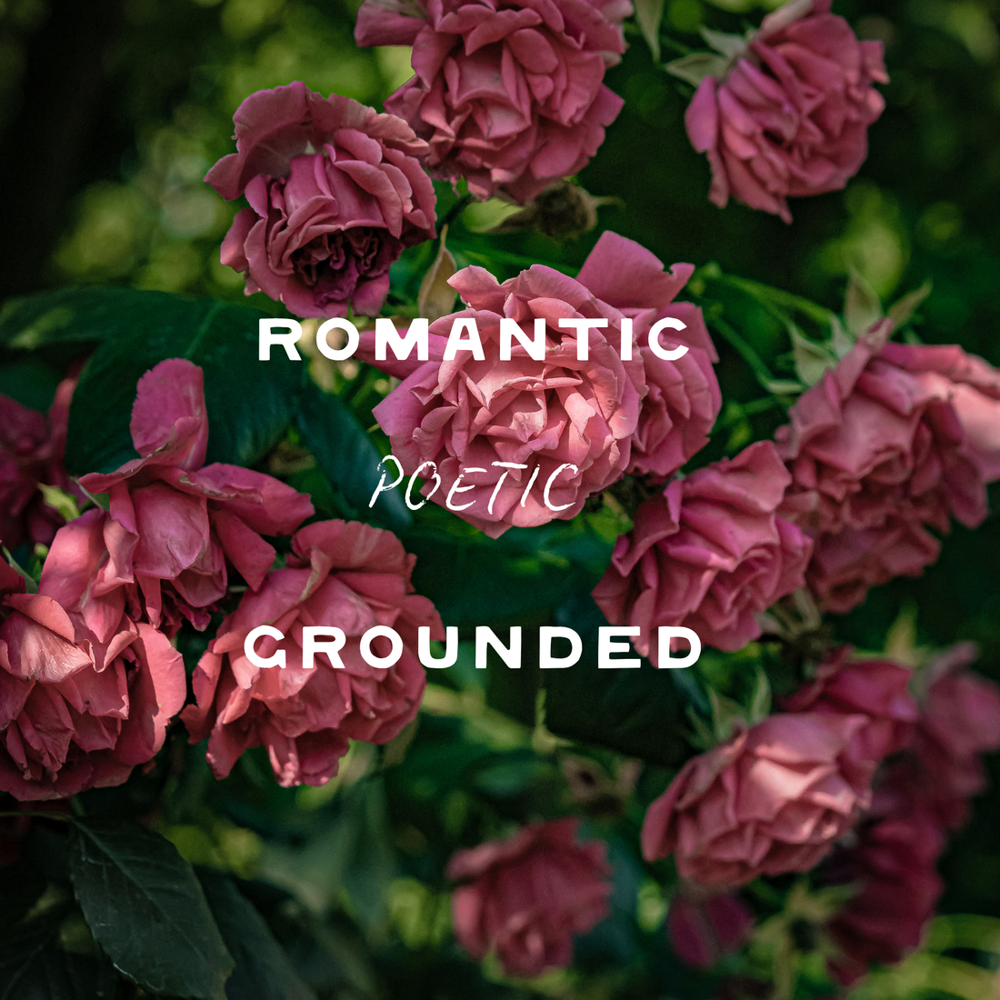 Poet